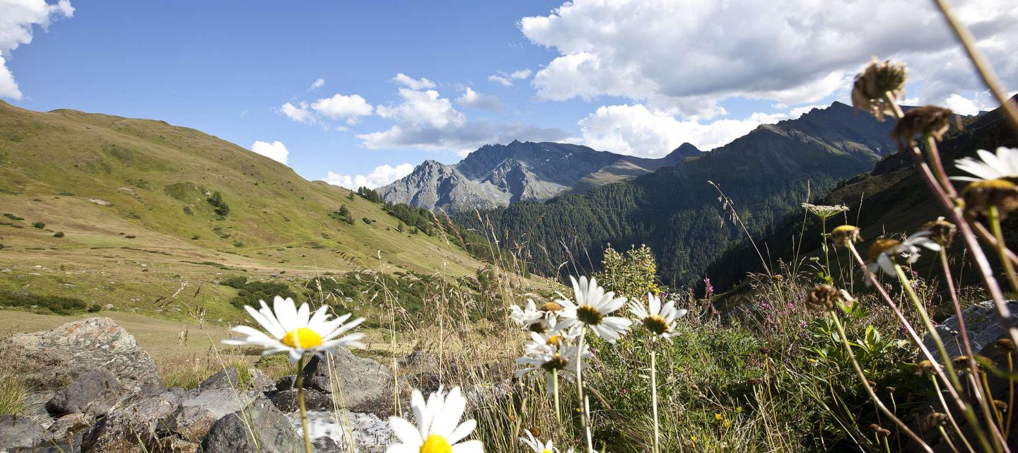 Samnaun Sommer